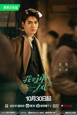 汕头专业网站优化运营